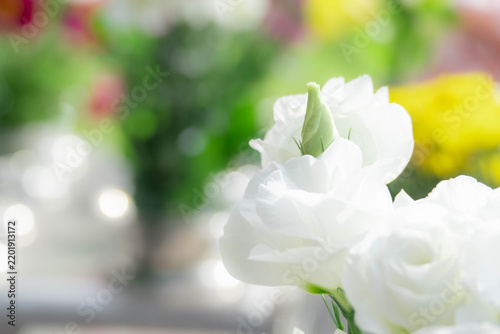 Obraz w ramie お墓にお供えされた清らかな白いトルコキキョウの花