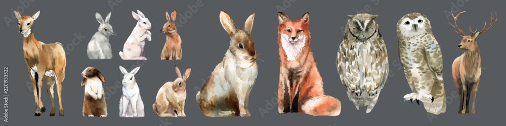 Fototapeta premium Vector illustration of various woodland animals on a gray background.