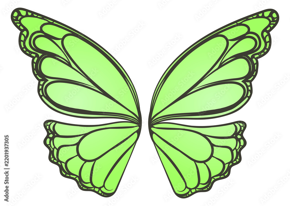 Obraz premium Green butterfly wings. Flying insect colorful symbol