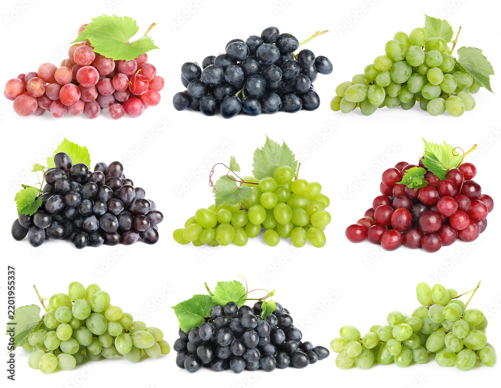 Obraz premium Bunches of different grapes isolated on white, set