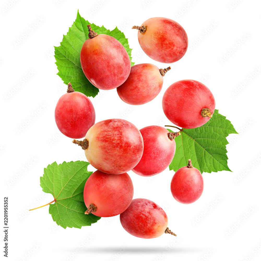 Obraz premium Fresh pink grapes and green leaves falling against white background