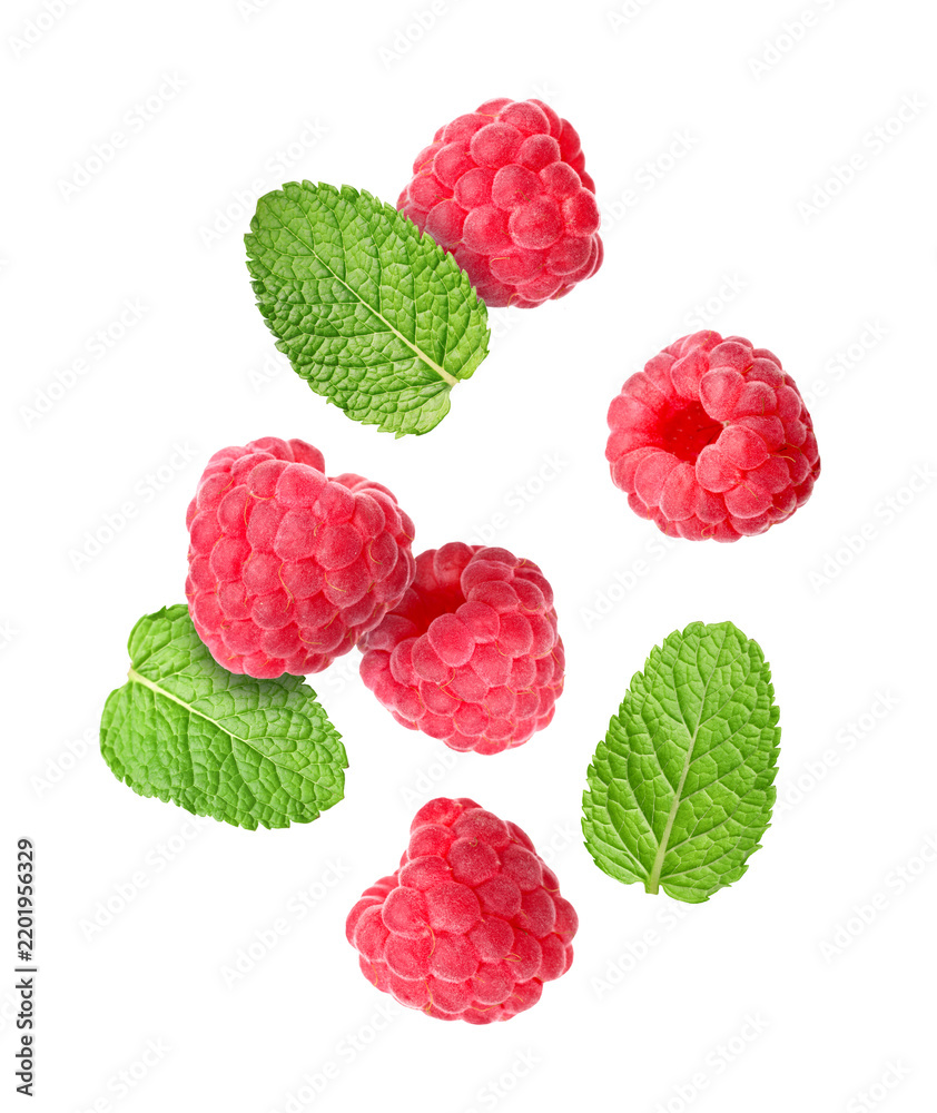 Obraz premium Fresh raspberries and mint leaves falling against white background