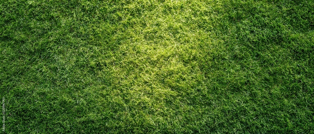 Obraz premium Closeup overhead view of freshly mowed short green grass lawn