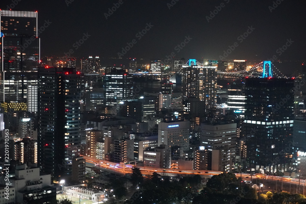 Fototapeta premium Ciudad de Tokio al atardecer