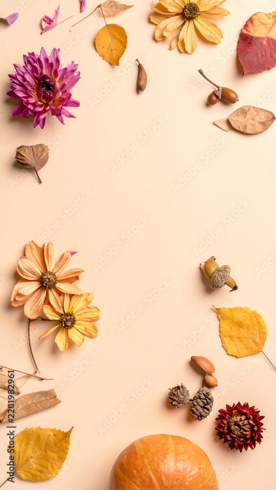 Fototapeta premium Herbstliche Blumen und Blätter auf pastellfarbenem Hintergrund mit Freiraum