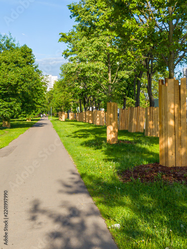 Trees Protected with Wooden Planks along Sidewalk During Urban Construction