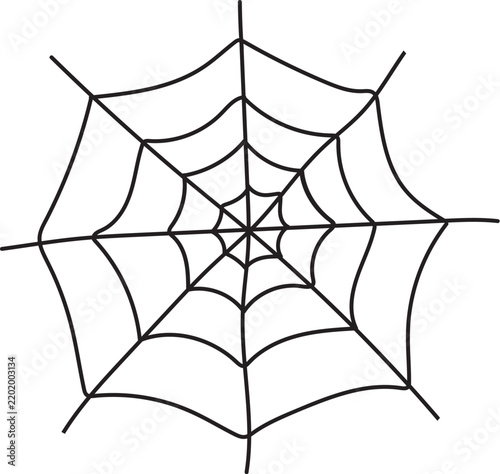 Vector Spider Web