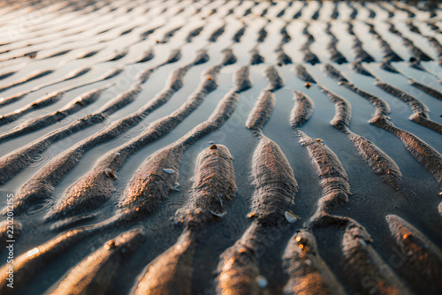 Cuadro en lienzo Parallel ridges of rippled sand stretch away across a wet beach at low tide in w