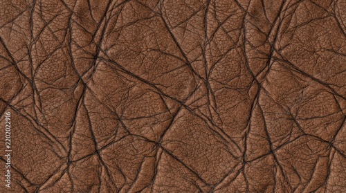 Textured brown leather surface with intricate cracks