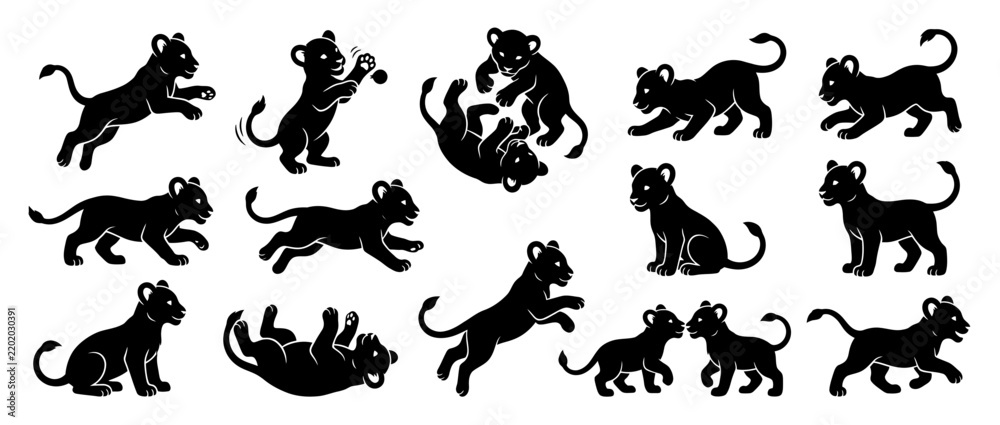 Obraz premium Set of playful lion cubs silhouettes isolated on white