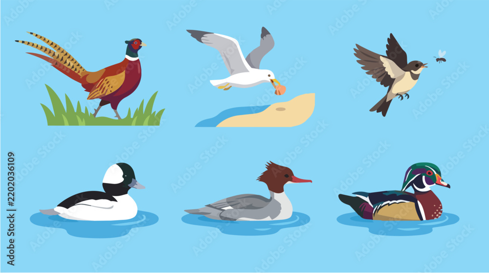 Obraz premium Flat Set Collection of Five Birds Illustration