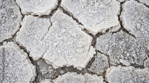 Cracked salt crust texture on a dry lake bed surface with white mineral deposits and geometric shapes