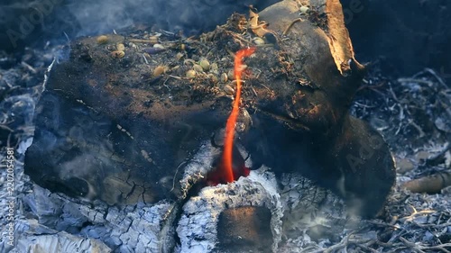 A log is burning intensely in a dark environment, displaying sparks and glowing embers. The scene showcases fire's raw energy and texture.