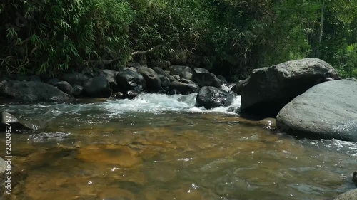 Crystal Clear Mountain River Surrounded by Dense Green Jungle