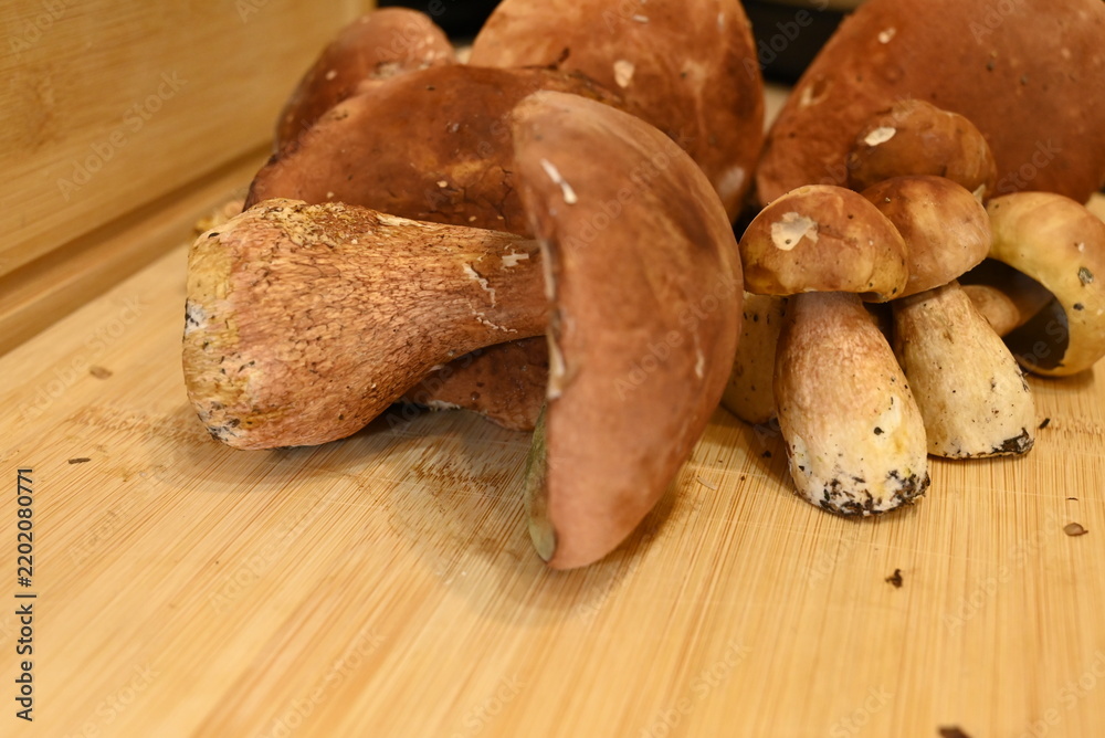Fototapeta premium Fresh wild forest mushrooms arranged on a wooden cutting board, showing different sizes, shapes and natural earthy textures. A rustic collection of edible mushrooms gathered for cooking and food prepa