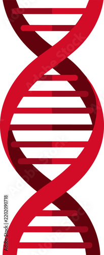 Red flat design vector illustration of a DNA double helix structure on a white background, representing genetics and science