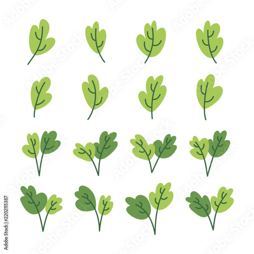 Green leaves create fresh botanical decorations
