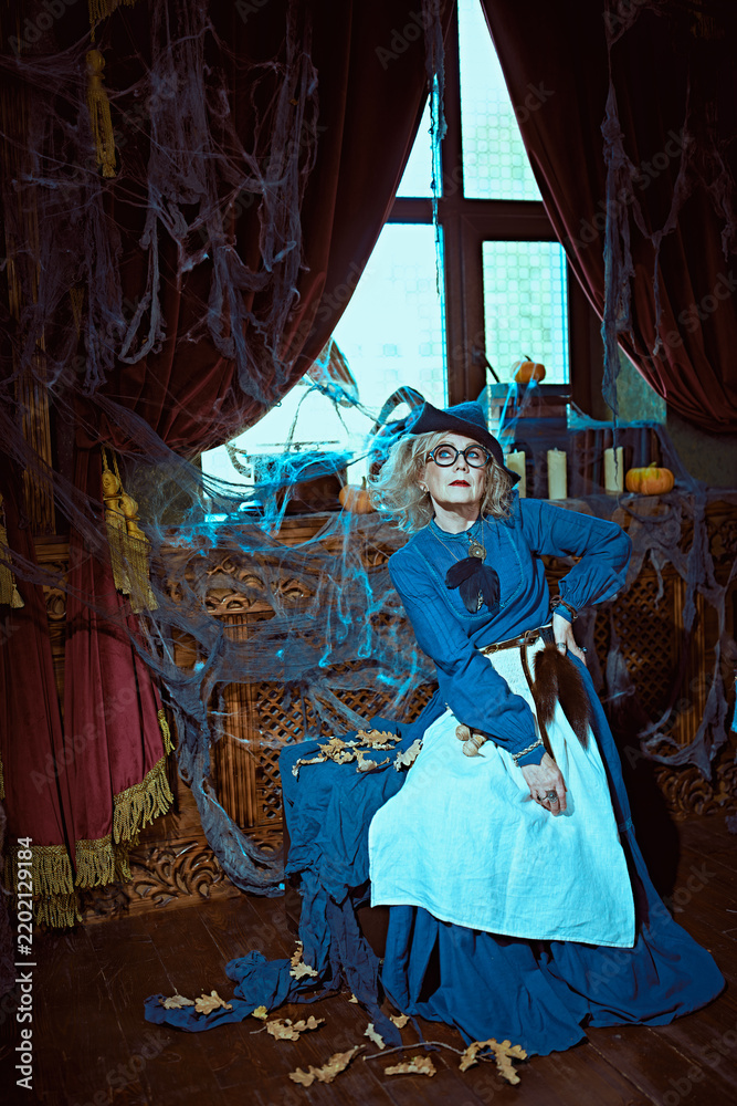 Obraz premium Old Witch in Cobwebs
