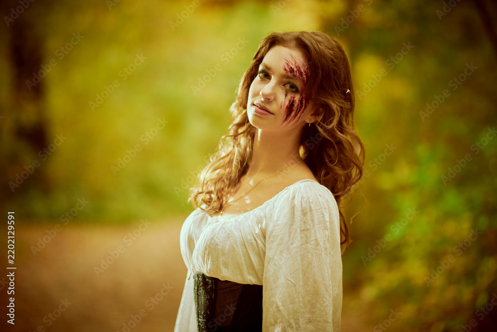 Obraz premium Wounded Woodland Heroine