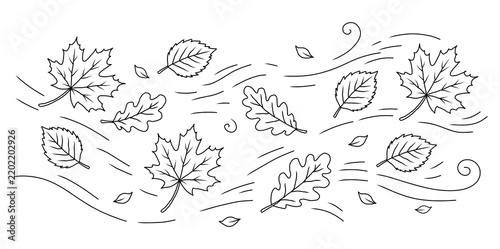 Autumn Leaves Line Art Illustration Pattern