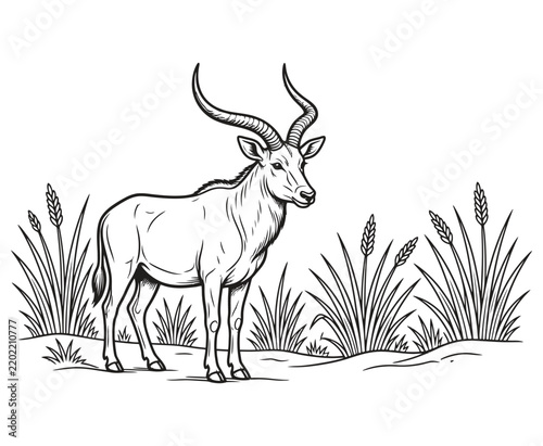 Canvas Print Black and white hand drawn illustration of an eland antelope in the savannah