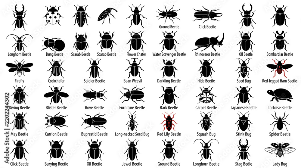 Fototapeta premium Beetle species silhouette vector set with stag ladybug and scarab collection