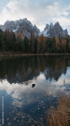 4K View of Lago d'Antorno, Autumn Dolomites with Snow Capped Peaks and Water Ripples