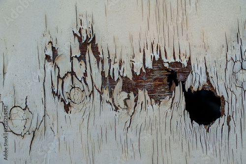 Weathered woodgrain texture background showing natural cracks, holes and knots on painted timber