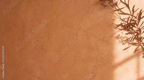 Minimalist Warm Terracotta Plaster Background Template with Soft Botanical Shadows