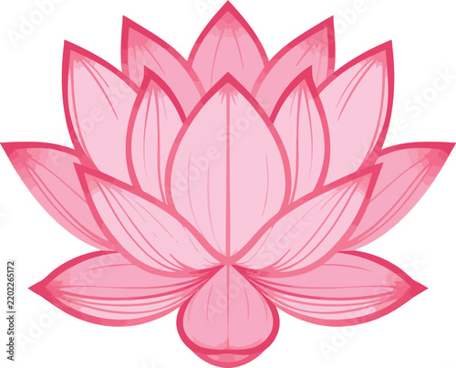  Pink lotus flower illustration with layered petals and subtle shading