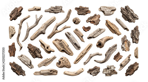 Driftwood and tree bark collection. Various wooden pieces and twigs isolated on white background