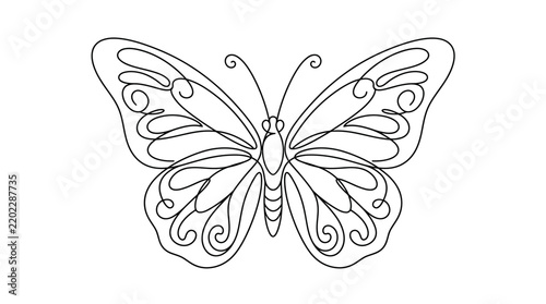 Elegant Butterfly Outline Drawing