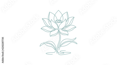 Elegant floral line art illustration