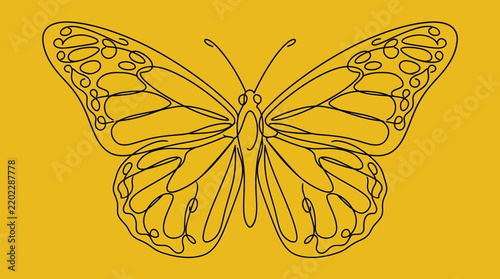 Elegant butterfly line art isolated