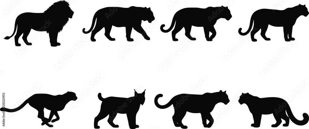Obraz premium Collection of black solid wild big cat vector silhouettes featuring lion tiger cheetah and panther for graphic design