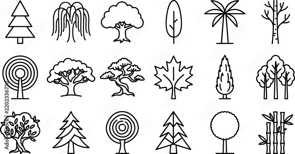 Fototapeta premium Forest trees and botanical nature vector icons set featuring pine palm bamboo bonsai maple oak foliage and monochrome line art