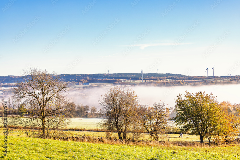 Fototapeta premium Rural landscape view a autumn morning with mist in a valley
