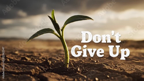 Small Green Seedling Growing in Dry Cracked Earth with Motivational Text Don't Give Up for Hope and Resilience