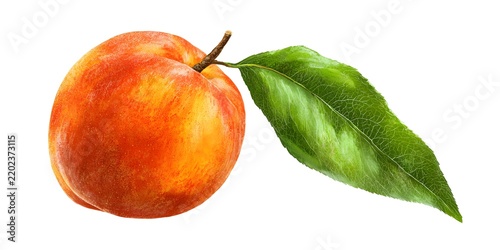 A ripe peach with a green leaf attached to its stem sits isolated against a plain white background.