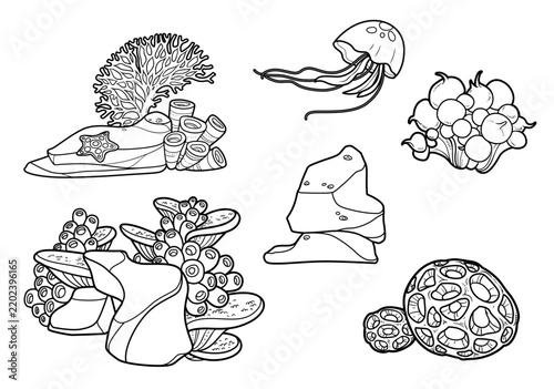 Sea life and objects sandstone on which corals and sea sponge grow and starfish lies, jellyfish and other line art