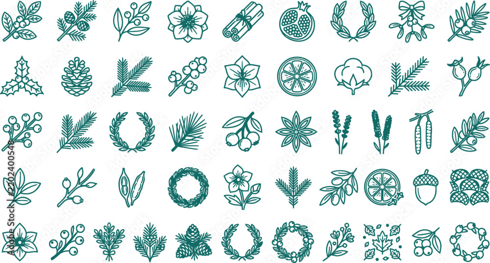 Fototapeta premium Foraged winter botanical branches flora leaves berries line art icons collection for natural Christmas decorations