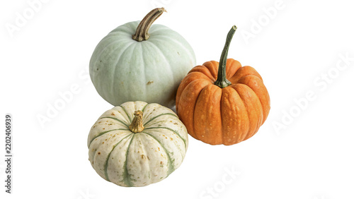 Group of fresh organic pumpkins squash crops isolated on transparent background