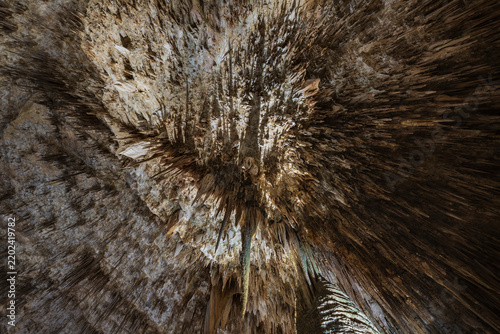 Stalactites inside carlsbad caverns