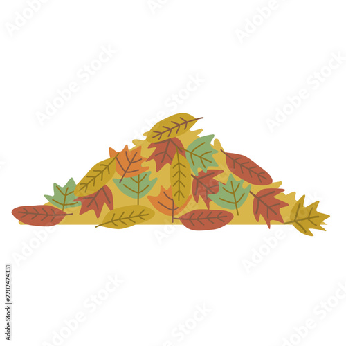 autumn leaves vector illustration
