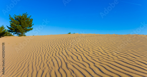wide sandy desert under a blue sky