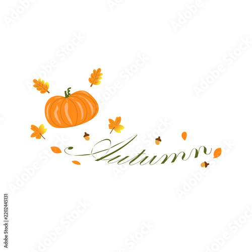 Cute Autumn Illustration with Pumpkin Leaves and Acorns