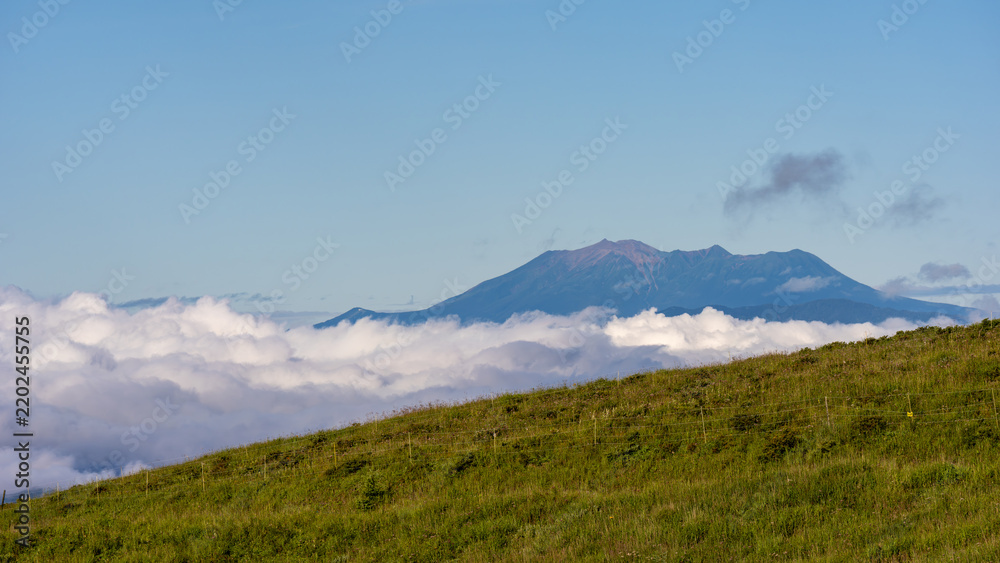 Obraz premium 霧ヶ峰の風景