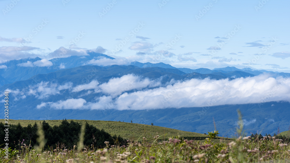 Obraz premium 霧ヶ峰の風景