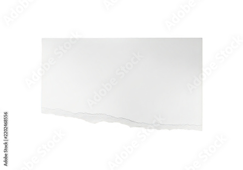 A white piece of paper with a torn edge isolated on transparent background