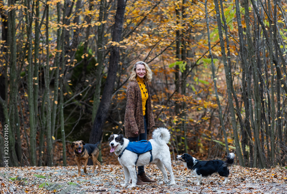 Fototapeta premium happy woman with dogs playing outdoors in autumn forest